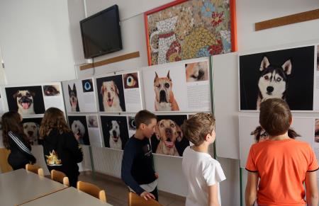 POGLEJ ME V OČI RAZSTAVA V OŠ RAKEK 04 FOTO LJUBO VUKELIČ